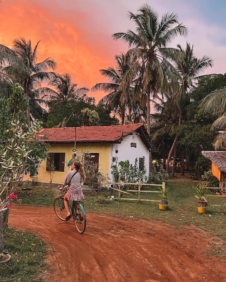 Margarita Village Kite School 칼피티야 외부 사진